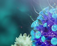 Kidney Week 2025 - Screening Communities for CKD.