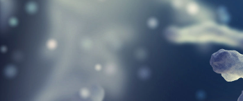 Perspective on the “Asian Paradox” in Kidney Disease