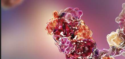 Screenshot 2026-01-21 101223